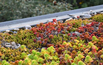 the cost of Buckinghamshire green roof installation
