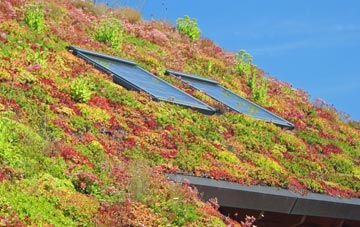 Buckinghamshire living roof systems
